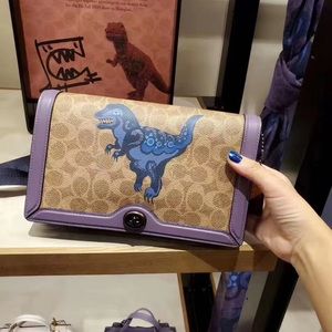 COACH RILEY CROSSBODY BAG IN SIGNATURE WITH REXY